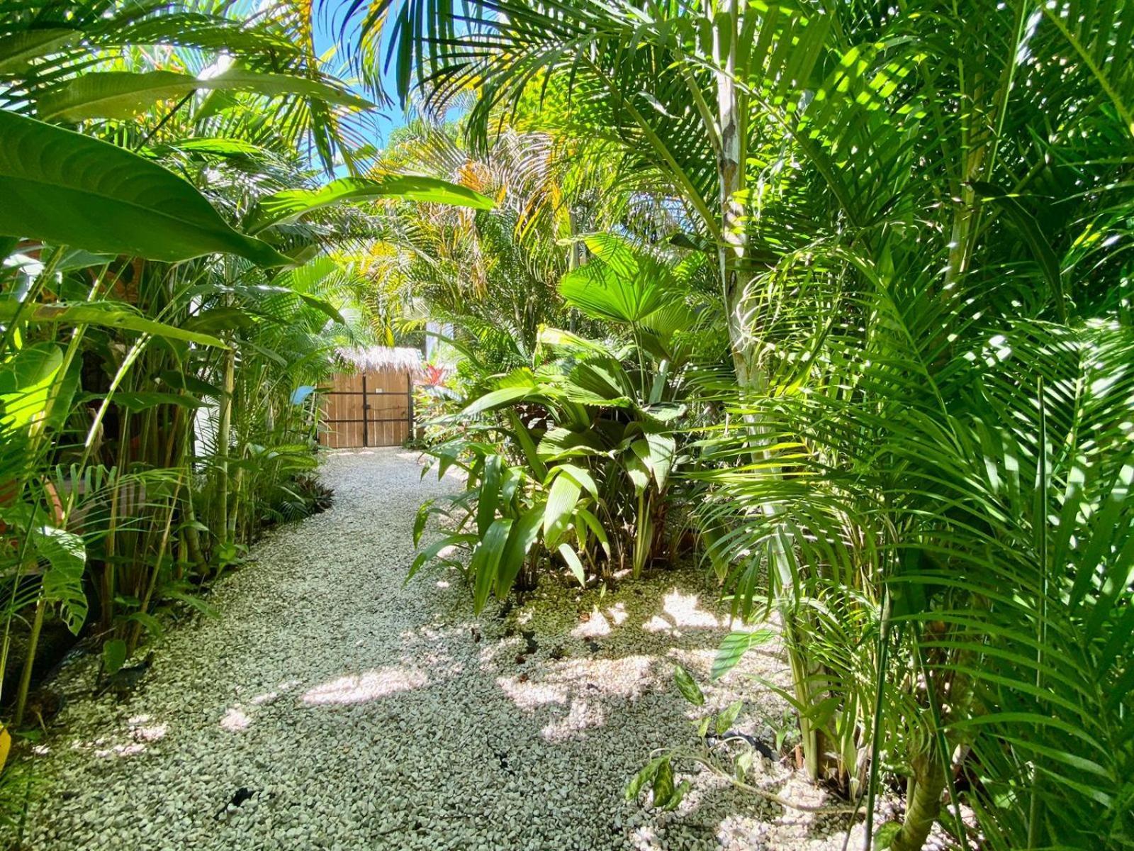 Santeria Lodge Playa Santa Teresa  Exterior foto