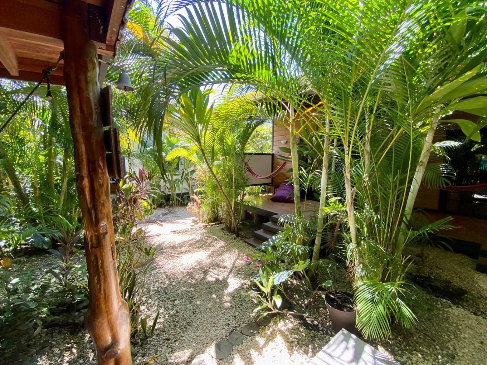 Santeria Lodge Playa Santa Teresa  Exterior foto