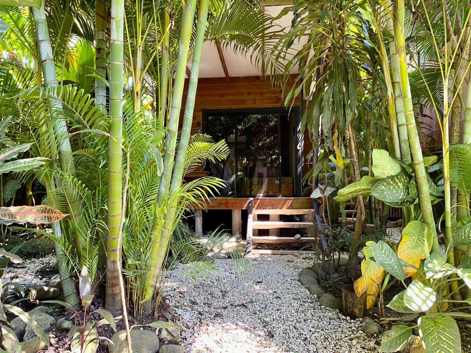 Santeria Lodge Playa Santa Teresa  Exterior foto